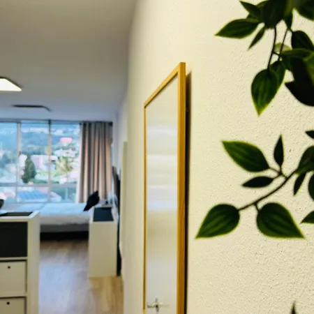 Panorama Estudio *